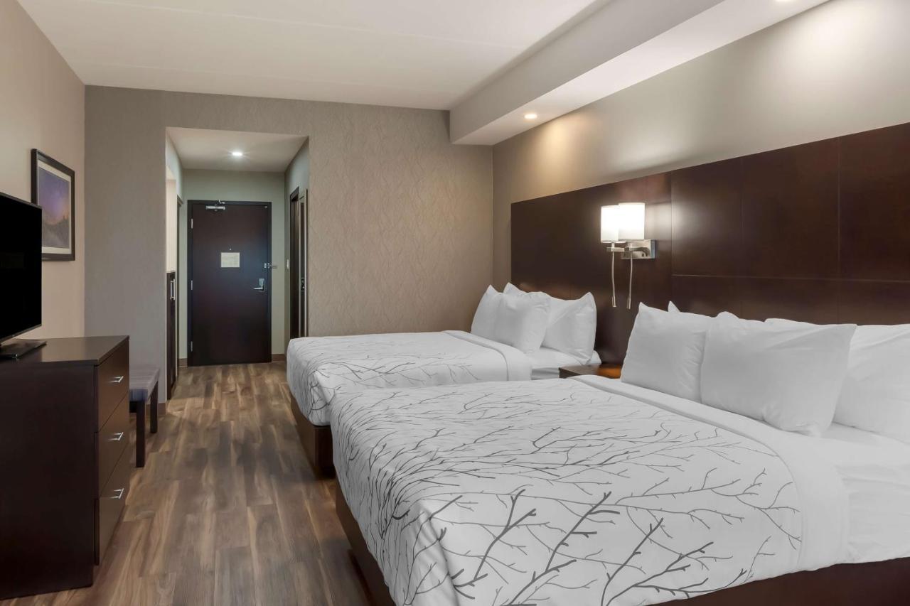 เบสต์ เวสเทิร์น พรีเมียร์ นอร์ทวูด โฮเต็ล Hotel ทิมมินส์ ภายนอก รูปภาพ