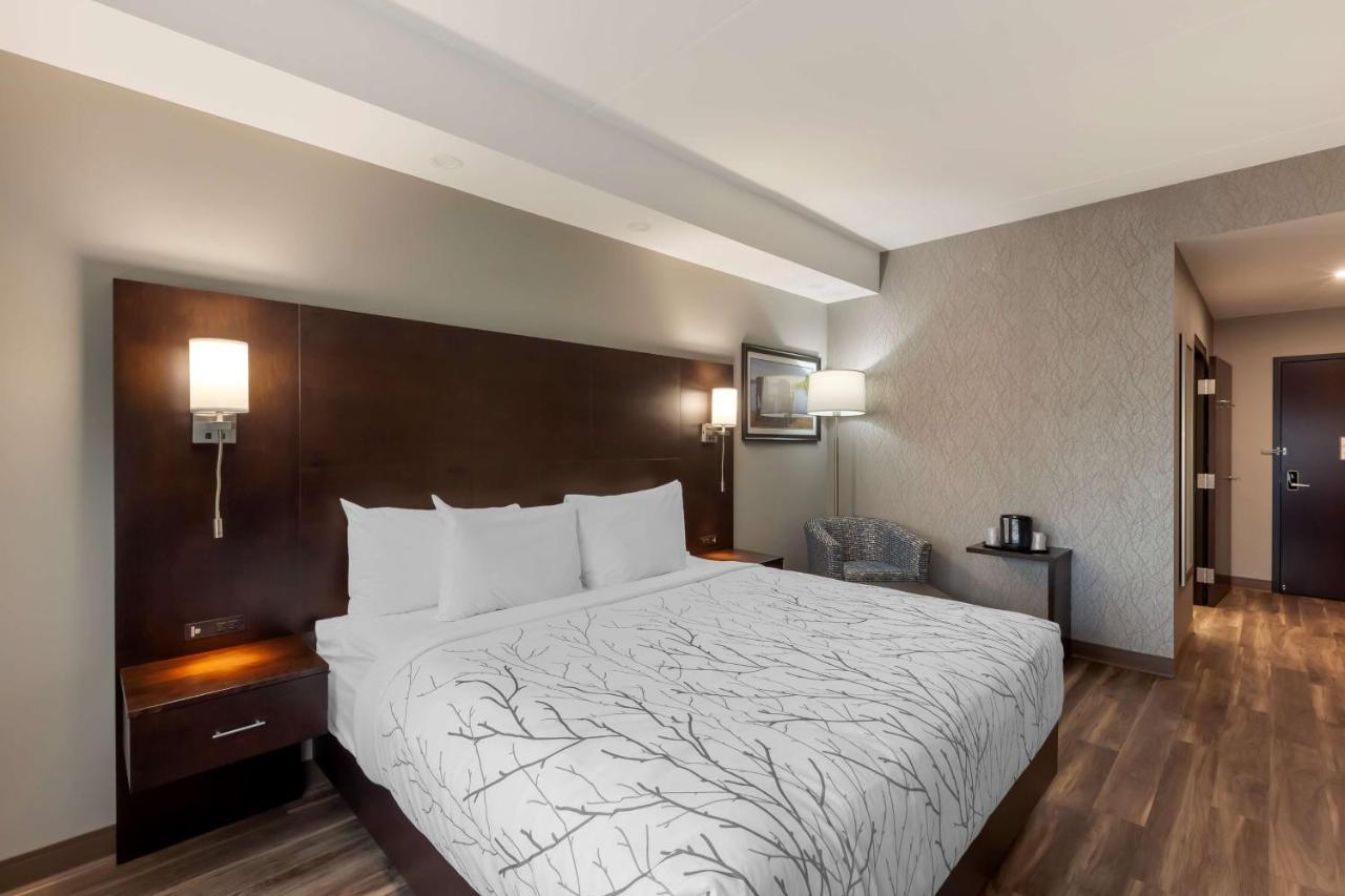 เบสต์ เวสเทิร์น พรีเมียร์ นอร์ทวูด โฮเต็ล Hotel ทิมมินส์ ภายนอก รูปภาพ